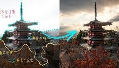 大象视频官方主页-探索大象视频官方主页，内容丰富、功能强大的娱乐新视界