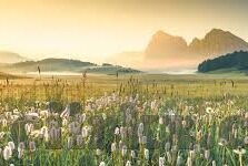 麻豆煤app-以麻豆煤为核心的科技新视界，探索APP行业的创新案例