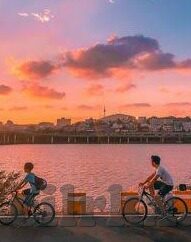 www日韩av在线-日韩AV在线，文化、艺术与伦理的交织
