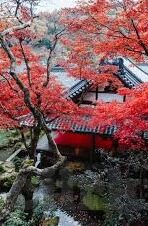 最近2019中文字幕-2019，时光印记中的中文字幕新篇章
